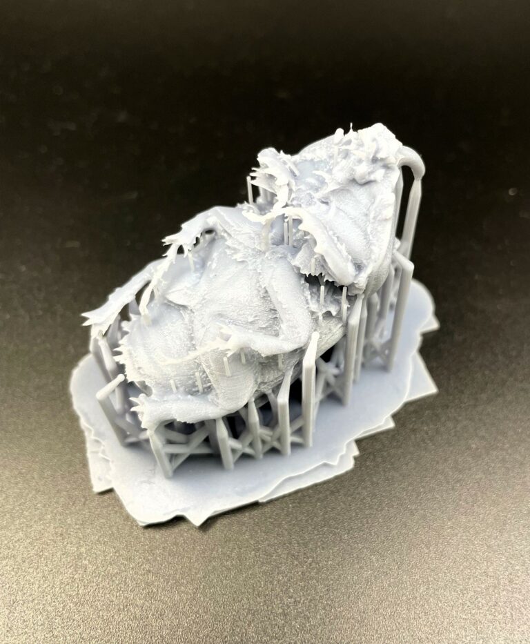 Reproduction scarabée rhinocéros impression 3D résine haute définition collection entomologique — TiPi3D