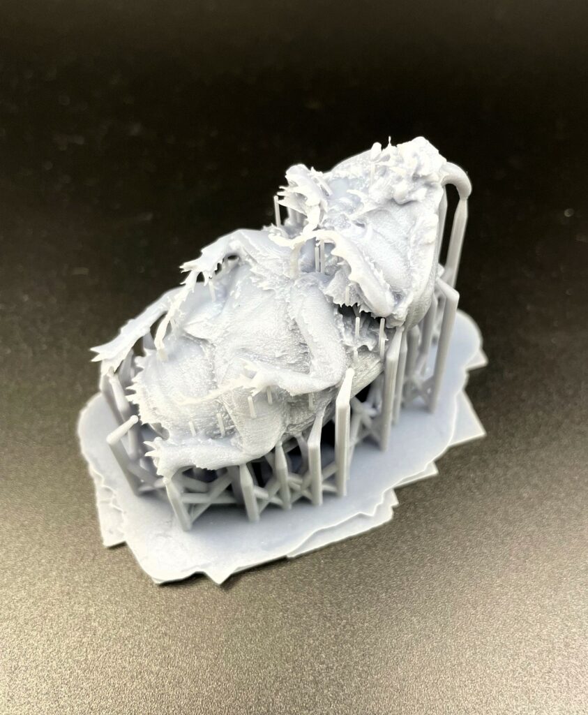 Reproduction scarabée rhinocéros impression 3D résine haute définition collection entomologique — TiPi3D